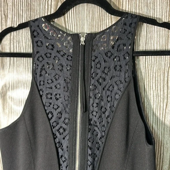 chinese dress ladies Rebecca Taylor Vien Lace Dress